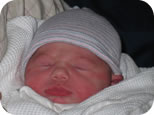 Amelia - New to the World